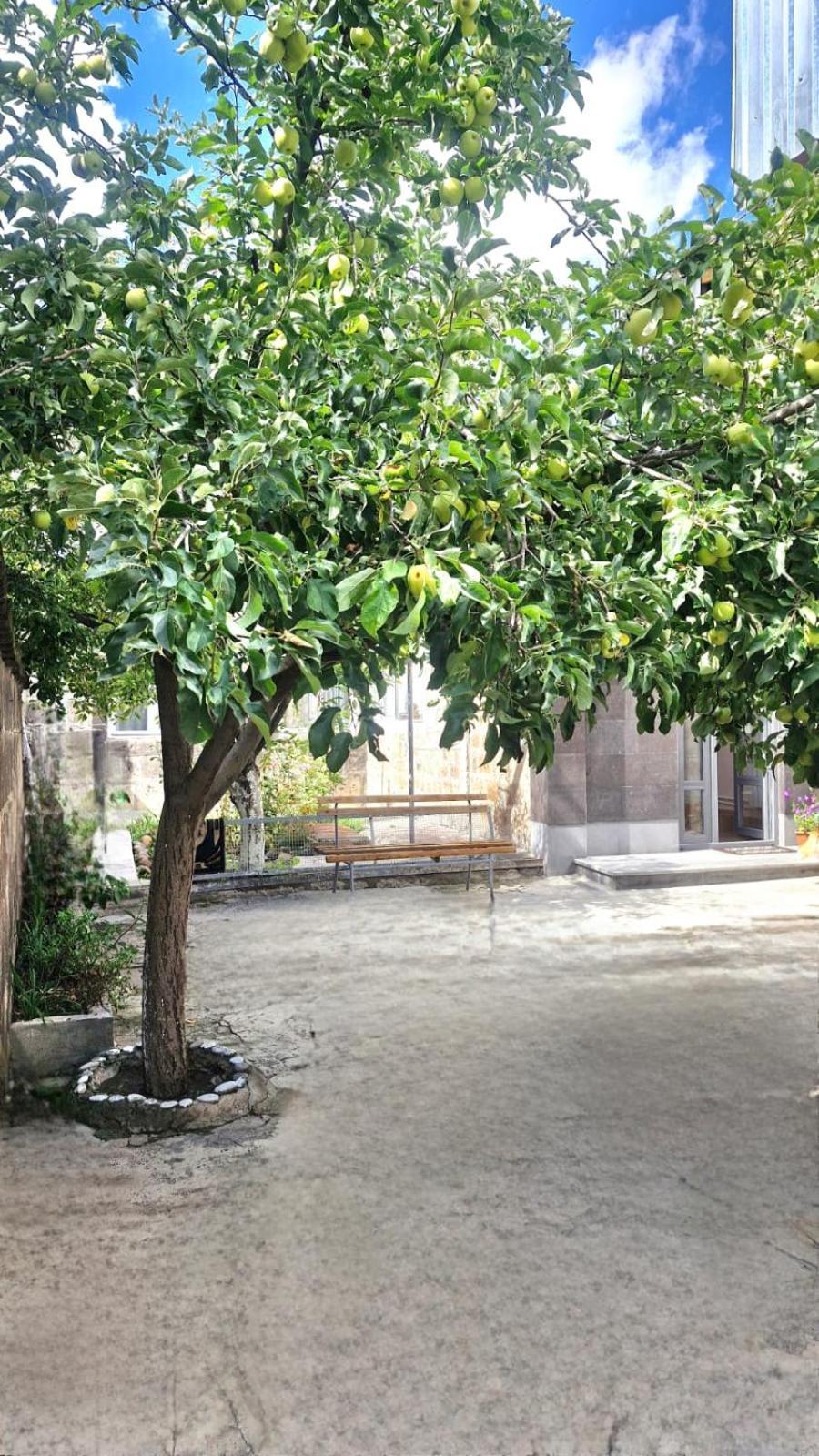 Guest House David'S B&B 久姆里 外观 照片