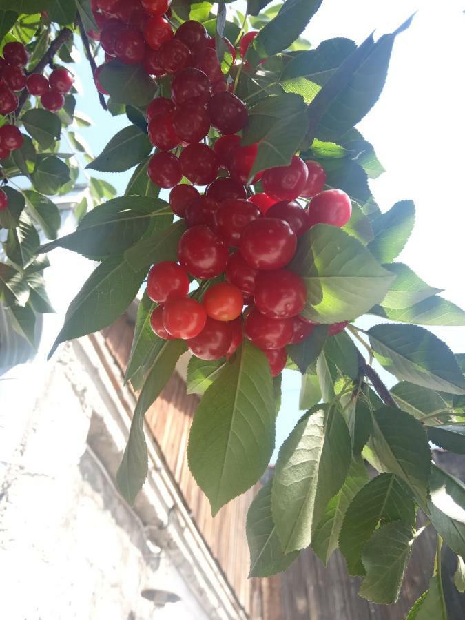 Guest House David'S B&B 久姆里 外观 照片
